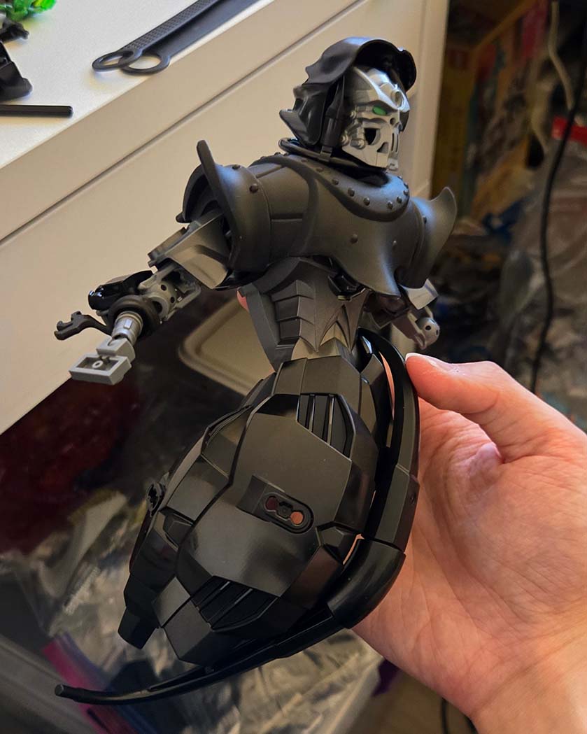 torso